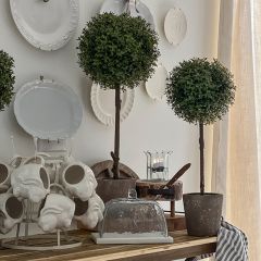 Faux Thyme Ball Topiary In Pot