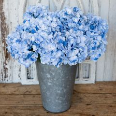 Cottage Garden Hydrangea Stem Set of 3