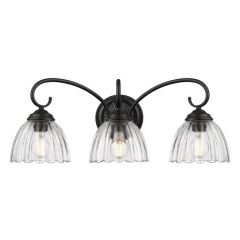 Matte Black Vanity 3 Light With Clear Glass
