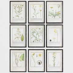 Wood Framed Floral Wall Decor Set of 9