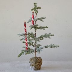 Festive Farmhouse Clip On Candle Ornaments Boxed Set of 3