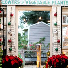 Festive Round Bell Garland