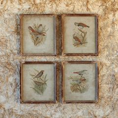 Field Birds Framed Print Set of 4