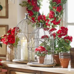 Finial Topped Birdcage Display Lantern Set of 2