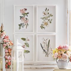 Fir Wood Framed Botanical Art Set of 4