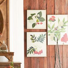Floral Framed Wall Decor