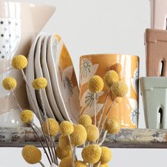 Floral Pattern Hand Painted Plates Set of 4