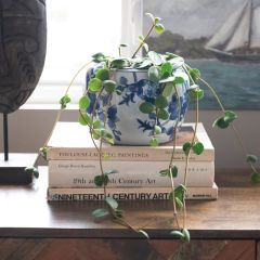 Floral Pattern Stoneware Planter