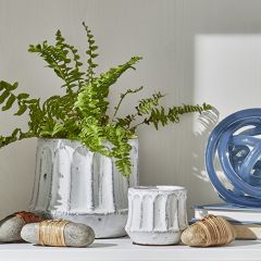 Fluted Terracotta Planter Pot