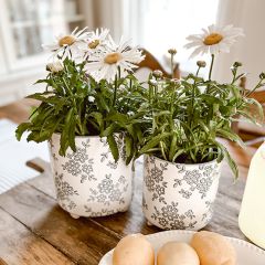 Footed Ceramic Planters Set of 2
