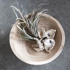 Footed Wood Display Bowl