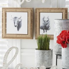 Framed Animal Prints Set of 3