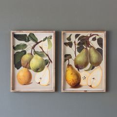 Framed Bartlett Pear Print Set of 2