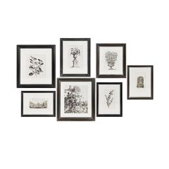 Framed Black and White Botanical Prints Set of 7