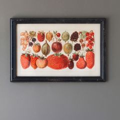 Framed Botanical Berry Art