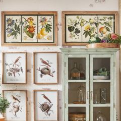 Framed Botanical Fruit Wall Art Set of 2