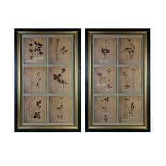 Framed Botanical Print Set of 2