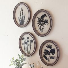Framed Botanical Prints Under Glass Set of 4