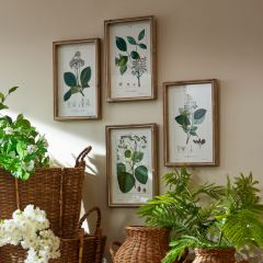 Framed Botanicals Wall Art Set of 4