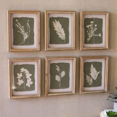 Framed Fern Print Set of 6