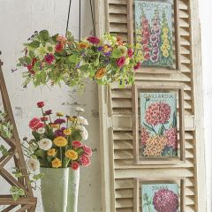 Framed Floral Seed Packet Print Set of 3