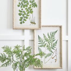 Framed Greenery Print Set of 2