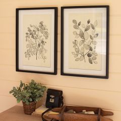 Framed Leaf Prints Under Glass Set of 2