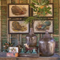 Framed Peacock Pheasant Wall Prints Set of 4