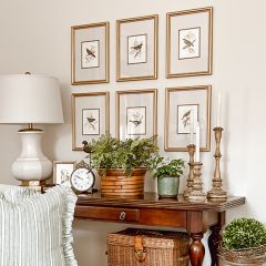 Framed Perched Bird Collection Set of 6