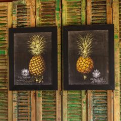 Framed Pineapple Print Set of 2