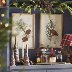 Framed Pinecone Print Wall Art Set of 2