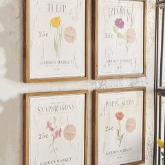 Framed Seed Packet Print Set of 4