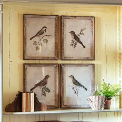Framed Songbird Wall Art Set of 4