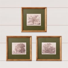 Framed Tree Sketch Prints Set of 3
