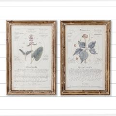 French Country Floral Framed Print Set of 2