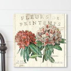 French Country Hydrangea Canvas Wall Art