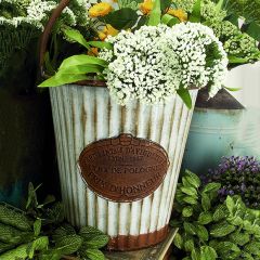 French Emblem Planter Bucket Set of 3
