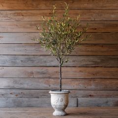 French Provincial Aged Planter