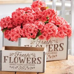 Fresh Flowers Decorative Garden Crates Set of 2