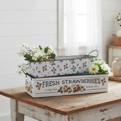 Fresh Strawberries Galvanized Bin Set of 2