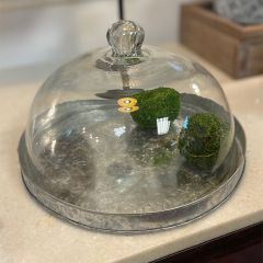 Galvanized Metal Base with Glass Cloche Dome