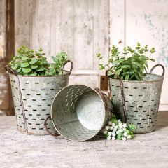 Galvanized Tin Olive Bucket Set of 3