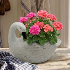Garden Grace Swan Planter