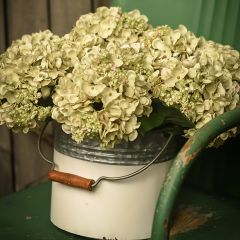 Garden Hydrangea Pick