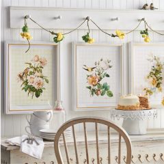 Gingham Shadowbox Framed Botanical Print Set of 3