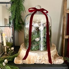 Glass Bell Jar Cloche 16 Inch