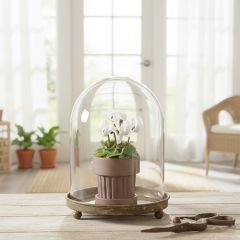 Glass Cloche on Rustic Metal Base