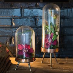 glass-cloche-on-tripod-stand