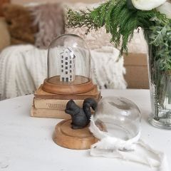 Glass Dome Cloche With Round Wood Base