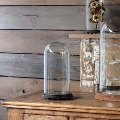 Glass Dome On Aged Metal Base Black 17.5 Inch